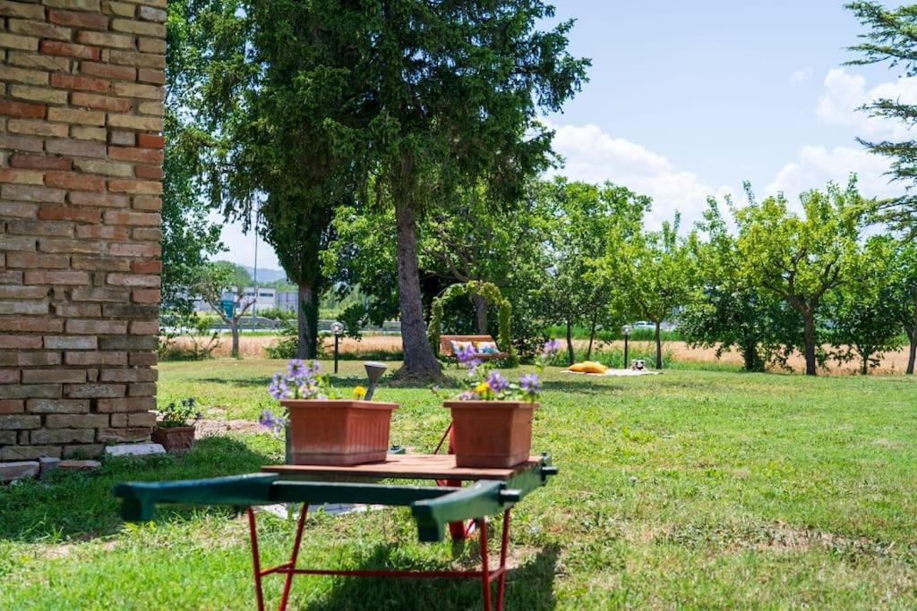 Casale Passalacqua Pesaro By Yohome La Torraccia Exterior photo